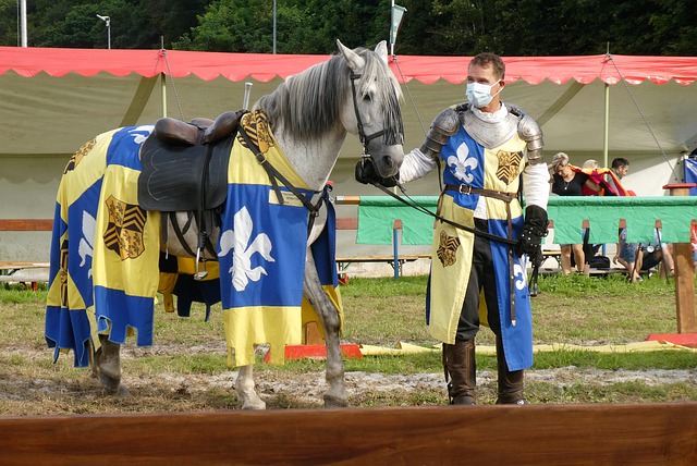 提供了绝佳 提供了绝佳