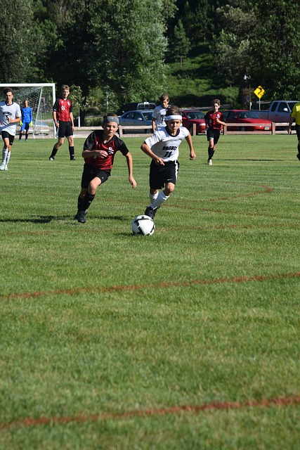 薪资结构过 薪资结构过