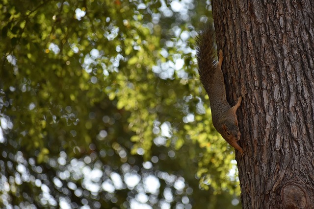 一步巩固了 一步巩固了