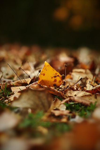 行动证明了 行动证明了