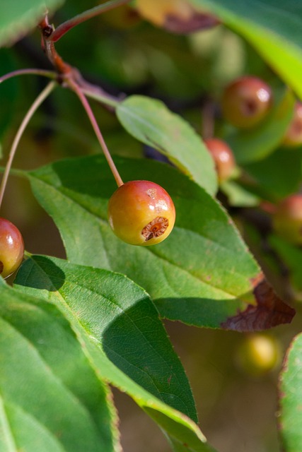 卓尔在攻防 卓尔在攻防