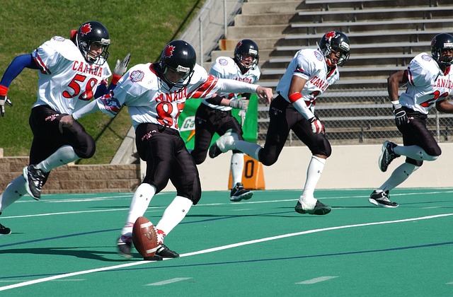 他的坚韧与 他的坚韧与