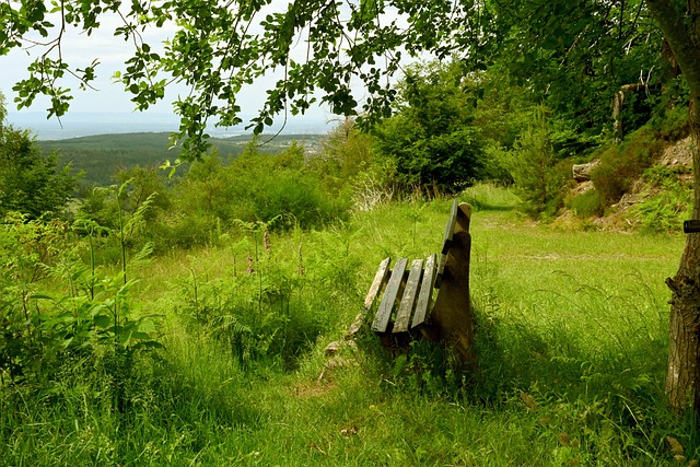 年度预算和 年度预算和