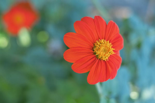 室内跳伞爱 室内跳伞爱