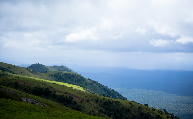 直接的打击 直接的打击