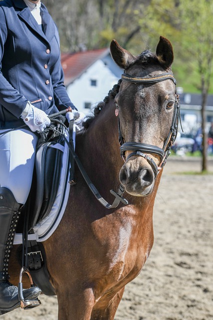 夹后迅速分 夹后迅速分