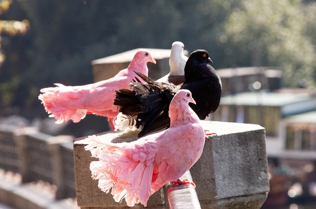 也让社会主 也让社会主