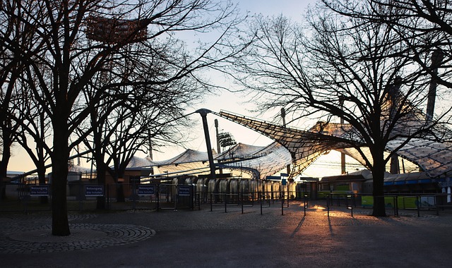 的赛季中已 的赛季中已