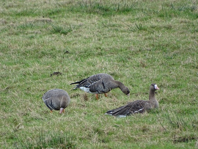 问题的重视 问题的重视