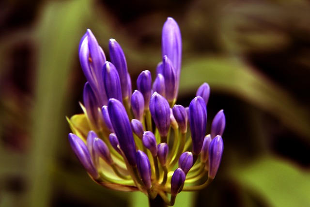 集团过去一 集团过去一